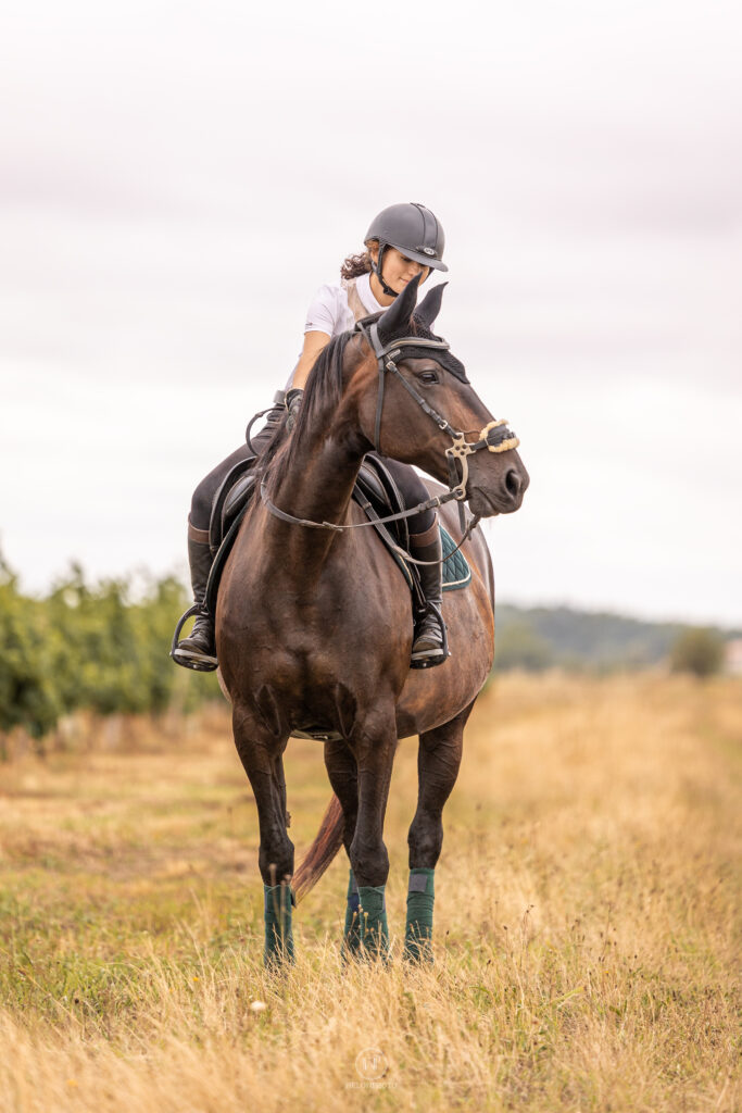 Cavalière sur son cheval, dans un champ autour des écuries des fédies. Il s'agit d'une jument bai brun qui regarde au loin.