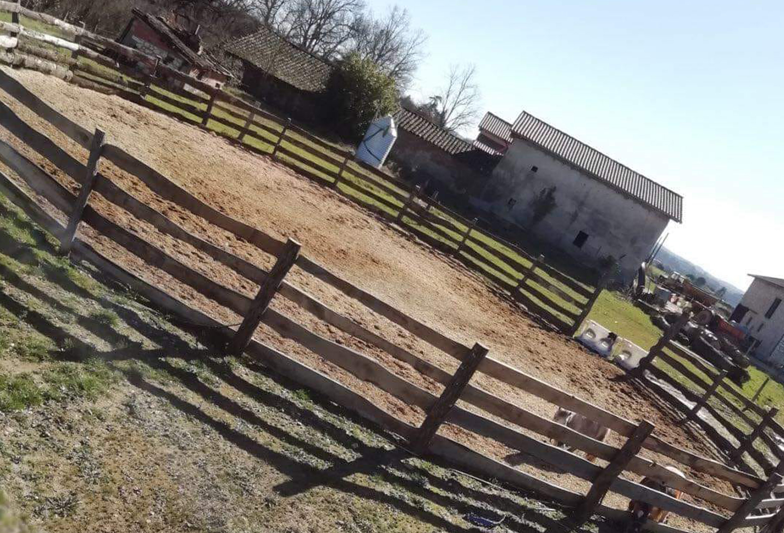 rond de longe aux écuries des fédiès pour travailler les chevaux à pied ou en liberté